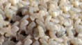 Camarones pelados
